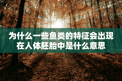 为什么一些鱼类的特征会出现在人体胚胎中是什么意思